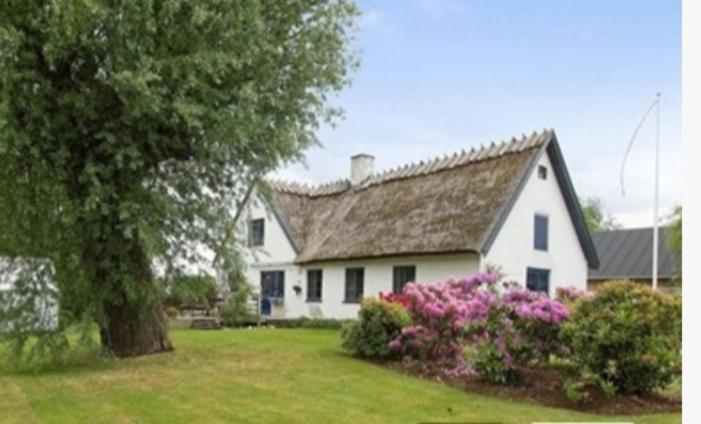 Pegasus Bed & Breakfast Hillerød Kültér fotó