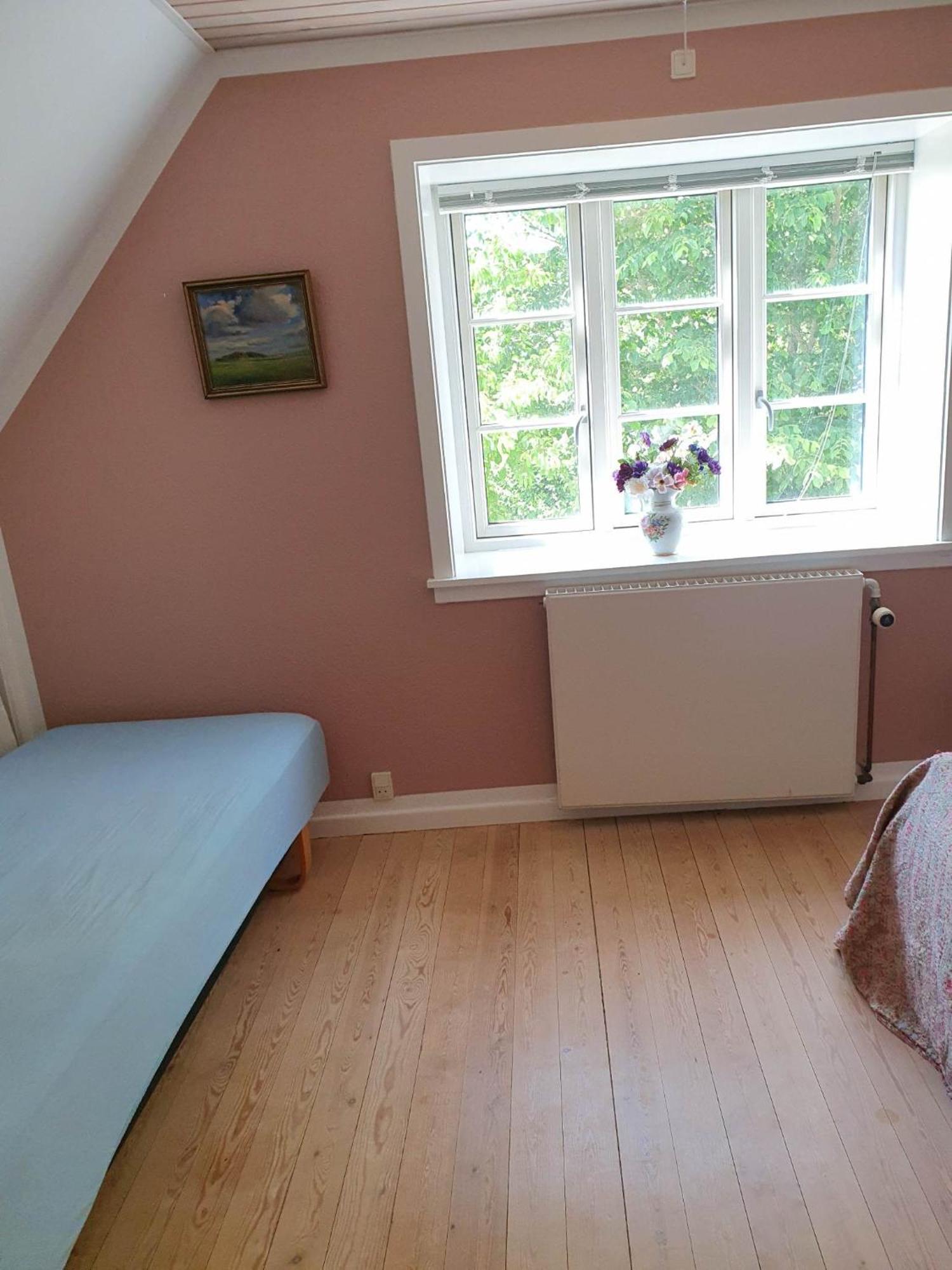 Pegasus Bed & Breakfast Hillerød Kültér fotó