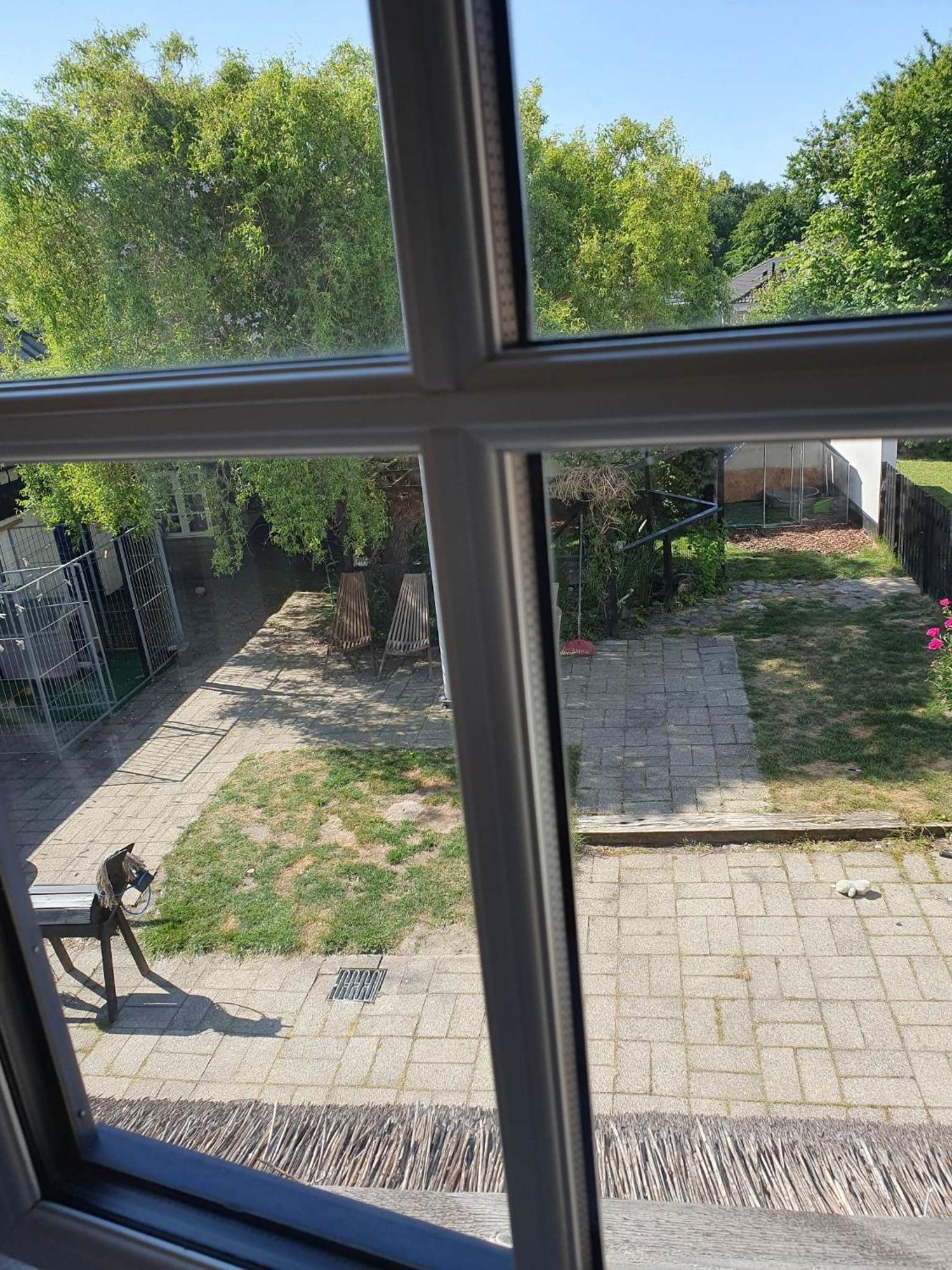 Pegasus Bed & Breakfast Hillerød Kültér fotó