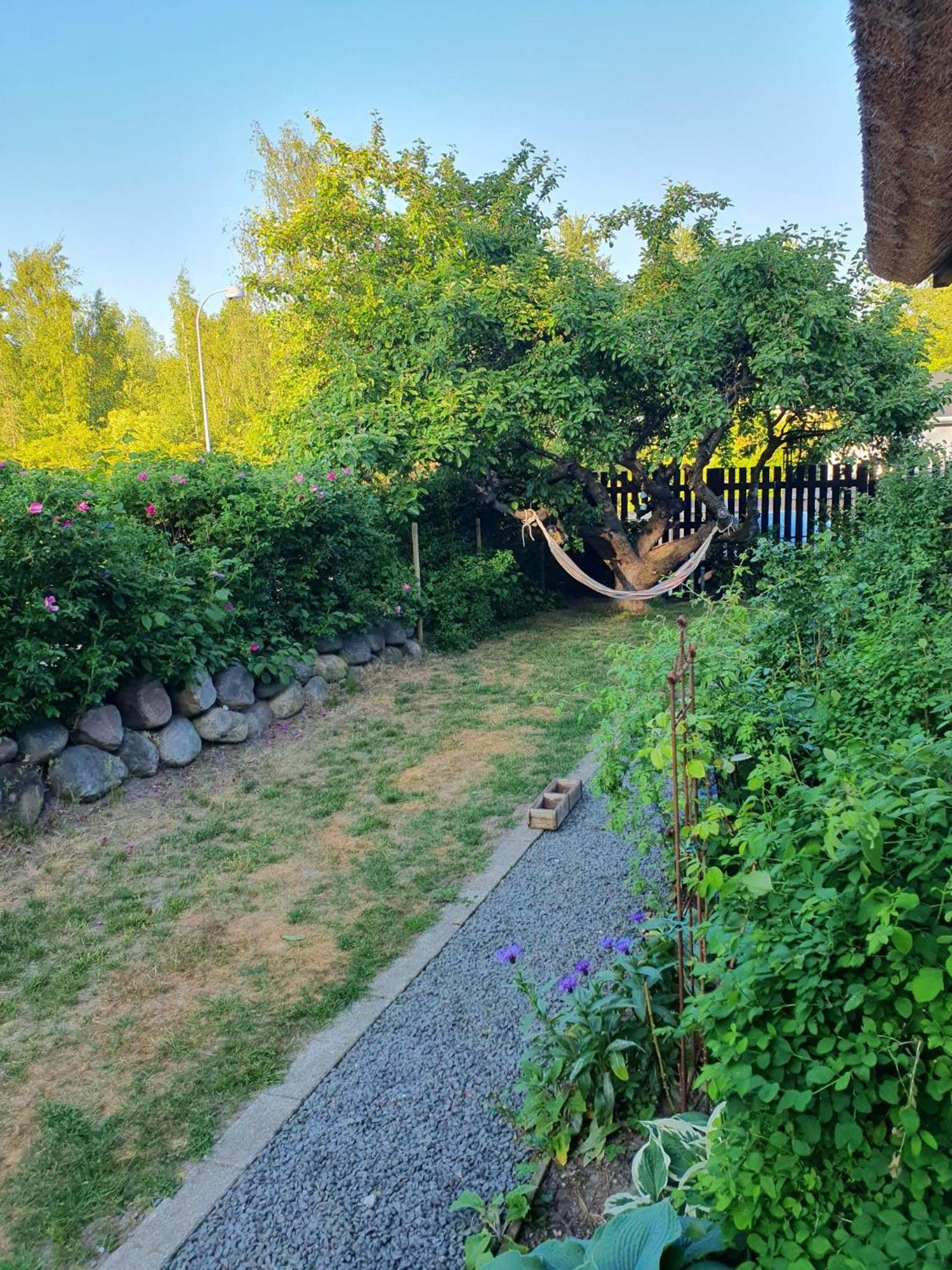 Pegasus Bed & Breakfast Hillerød Kültér fotó